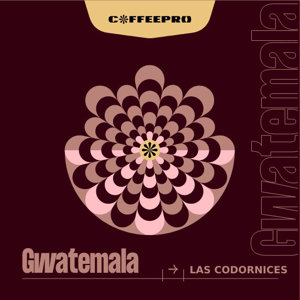 Kawa ziarnista CoffeePro Gwatemala Las Codornices 250g - opinie w konesso.pl